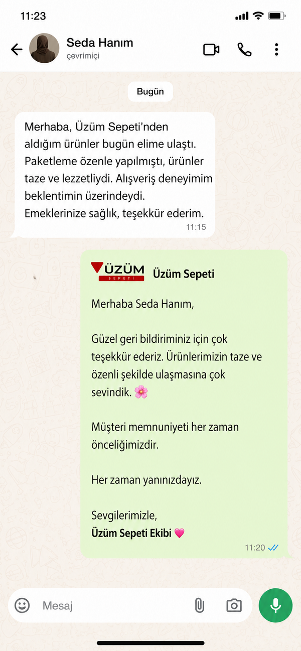 Seda B.